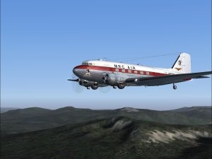 47331612272404.jpg