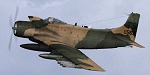 80381612010697.jpg
