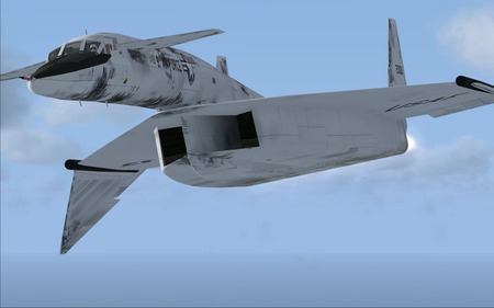 83691612010135.jpg