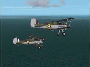 93641612056608.jpg