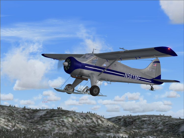 Aerosoft Beaver on Skis Worn But Loved.jpg