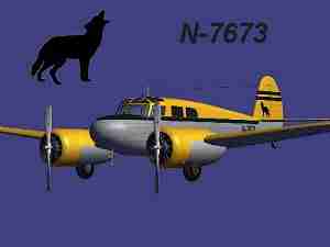 Alphasim Bobcat Yellow-Grey.jpg