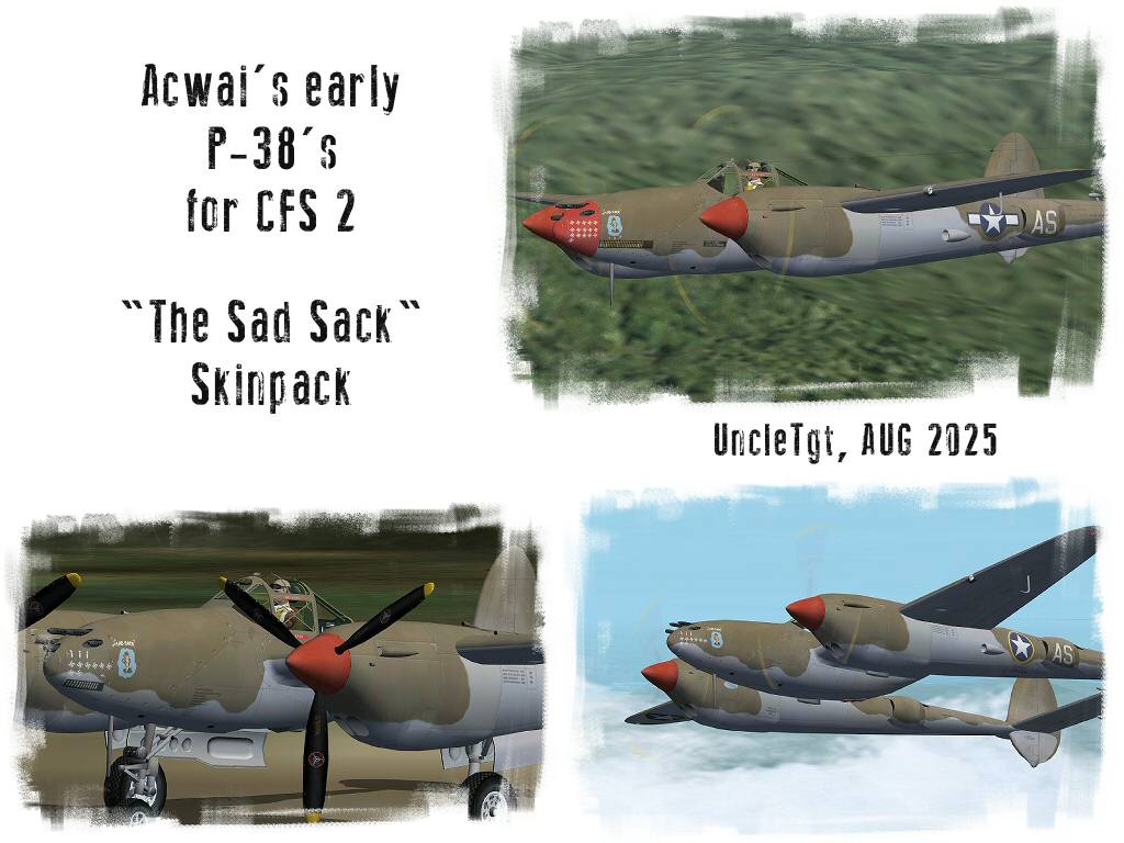 AW_P38F_SadSack_Skinpack_UT.jpg