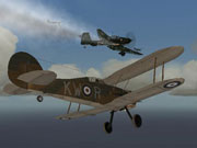 im-10.jpg