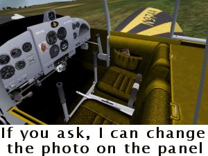 Piel Emeraude Golden Eagle Squadron.jpg