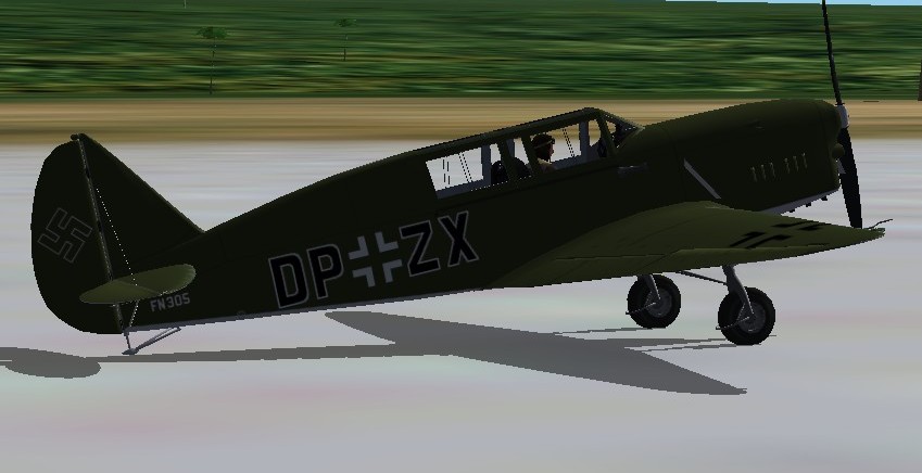 RLM-Nardi FN.305 A.jpg