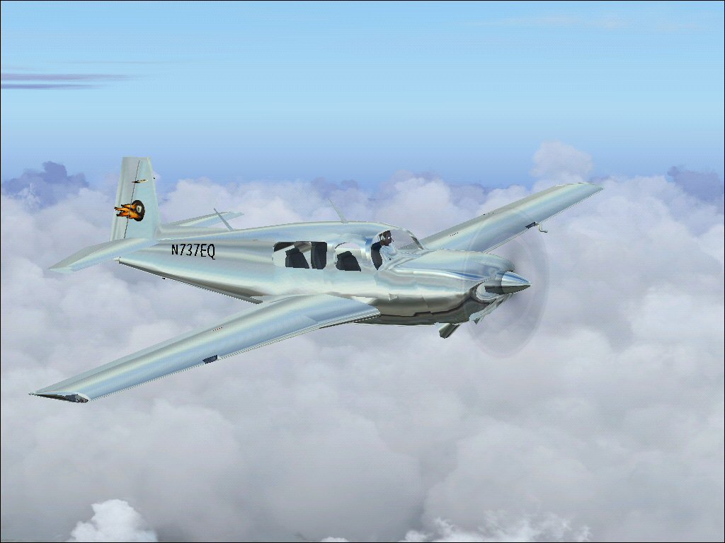 Silver Mooney.jpg