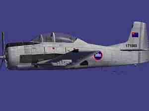 T28D Cambodia Grey.jpg