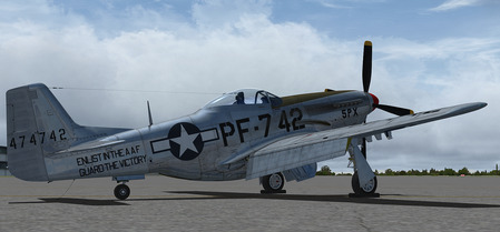 Warbirdsim P-51D Mustang PF-742..jpg