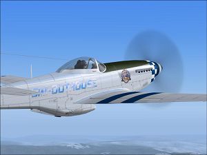 WoP P-51D_SOH.jpg