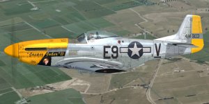 JK_P-51D_WBS_361stFG.jpg