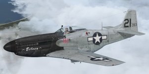 JK_P-51D_WBS_CBI.jpg