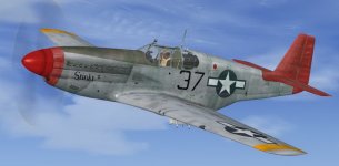 JK_P-51B_332nd_FG_Stinky.jpg