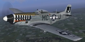 JK_P-51D_WBS_20thFG.jpg