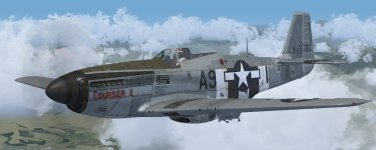 JK_P-51D-5_WBS_363rd_A9-I.jpg