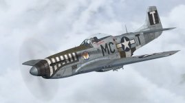 JK_P-51D-5_WBS_20th_MC-T.jpg