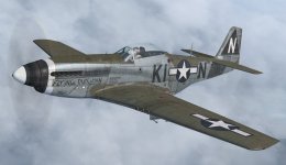 JK_P-51D-5_WBS_20th_KI-N.jpg