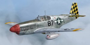 JK_P-51B_325thFG_87.jpg