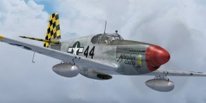 JK_P-51B_325thFG_44.jpg