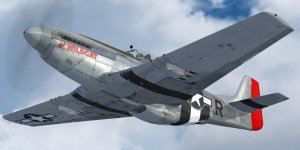 JK_P-51D_WBS_479th_FG.jpg