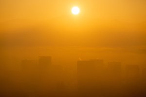 smog4.jpg