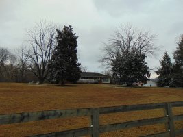 DSC00468.JPG