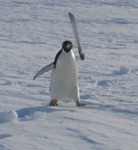 penguinaxe.jpg