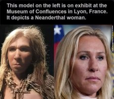 neanderthal.jpg