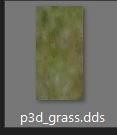 P3D_Grass.JPG