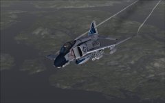 37786.jpg