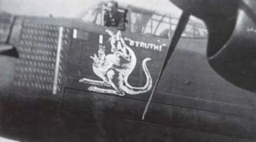 Struth Nose Art SR-S LL772.jpg