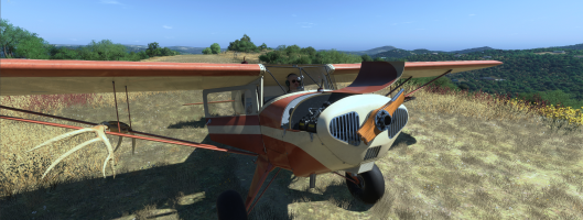 Microsoft Flight Simulator 2024 - 1.8.14.0 9_1_2026 4_49_01 PM.png