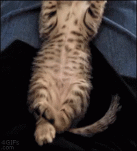 1789152907353.gif