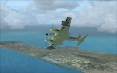 Hornet1.jpg