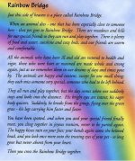 2971825_orig.jpg