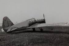 Cdleaak.jpg