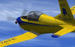 PC-7-Forestry-Final.jpg
