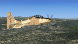 ST-2.jpg