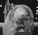 nose1.jpg