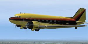 C-FAAM-1.jpg