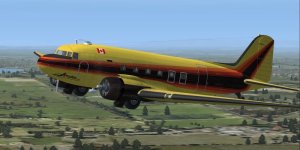 C-FAAM-3.jpg