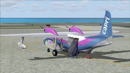 Capri Turbo Mallard.jpg