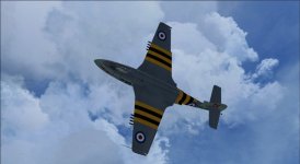 Seahawk.jpg