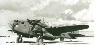 BaltimoreLF-Flaps.jpg