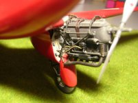 DSCN6622.jpg