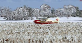 fs9 2017-03-12 09-30-48-49.jpg