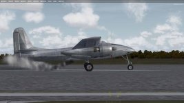 tigercat1.jpg