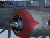 1 bumpy.jpg