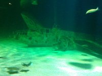 IMG_20170924_171600.jpg