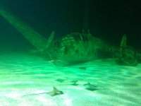 IMG_20170924_171312.jpg